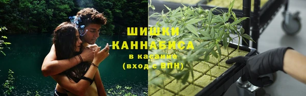 амф Алзамай