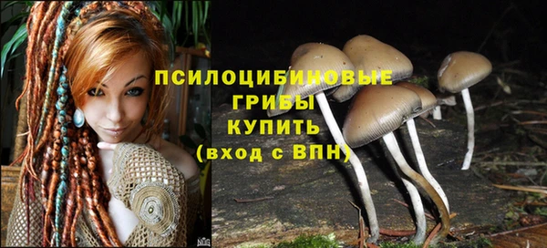 амф Алзамай