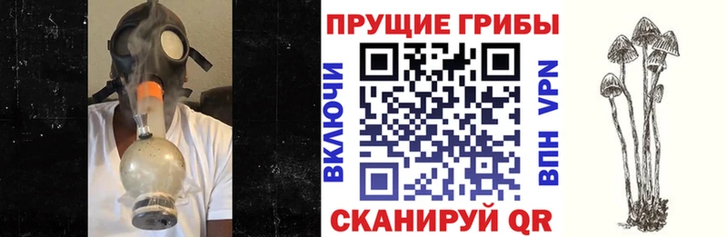 мега как зайти  Гусь-Хрустальный  Галлюциногенные грибы мицелий 