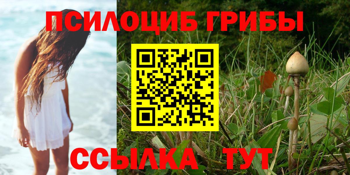 Псилоцибиновые грибы MAGIC MUSHROOMS Гусь-Хрустальный